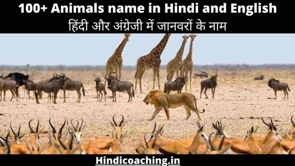 Animals name in HIndi and English